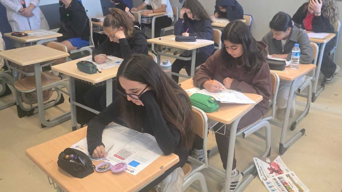 Yükseliş News